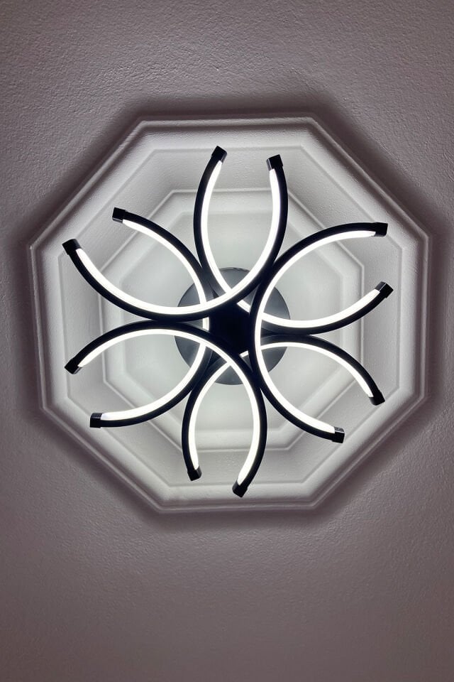Buket Siyah Modern Plafonyer Beyaz Ledli Avize