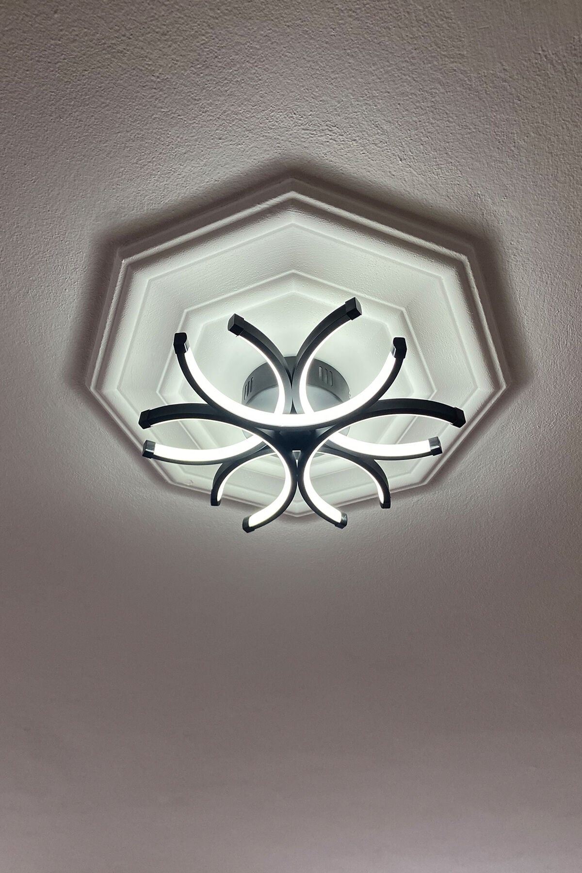 Buket Siyah Modern Plafonyer Beyaz Ledli Avize